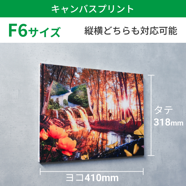 キャンバスプリント F6サイズ