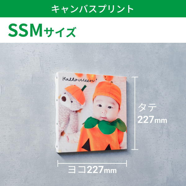 キャンバスプリント SSMサイズ